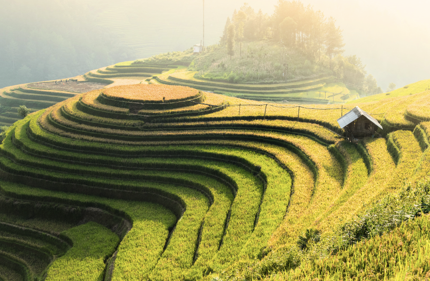 Khách Sạn Đây Rồi Travel Tour Tây Bắc