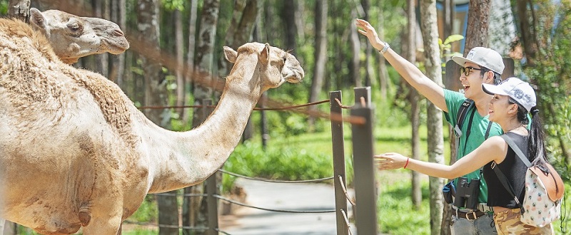 Giá du lịch Phú Quốc 3 ngày 2 đêm