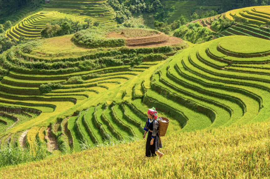 Tour Trọn Gói 1 Ngày – Dâng Hương Quốc Tổ – Tìm Hiểu Văn Hoá –  Thưởng Thức Buffet Hải Sản Thịnh Soạn